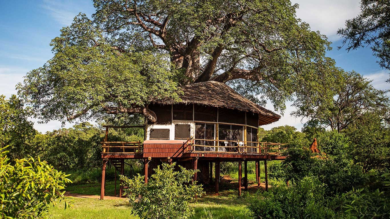 Tarangire Treetops accommodation exterior view of Treehouse Suite