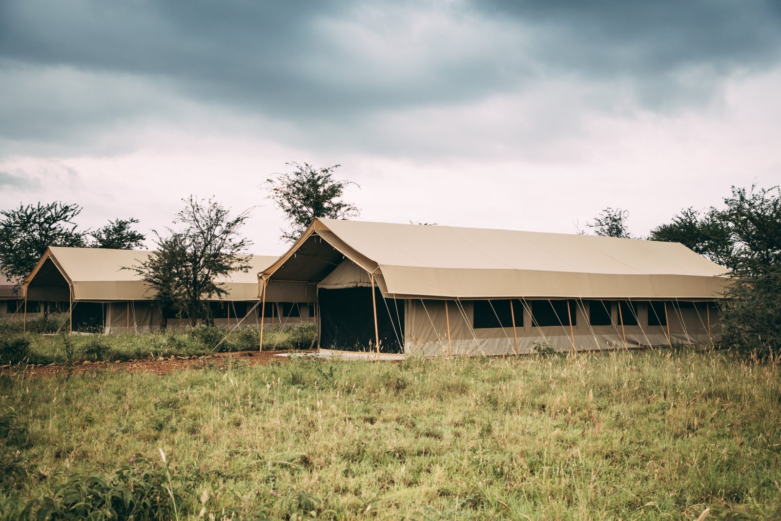 Tents at Serengeti Tortilis Camp