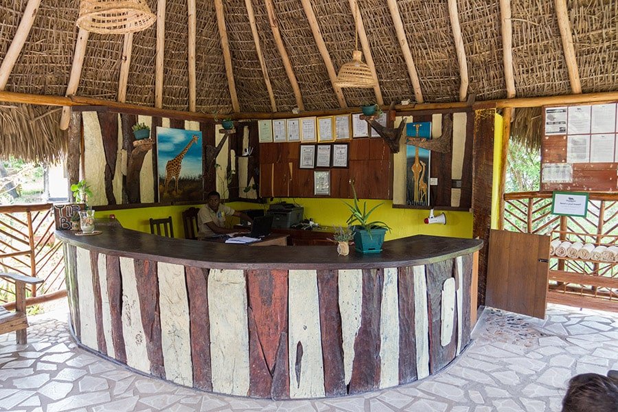 africa safari selous reception