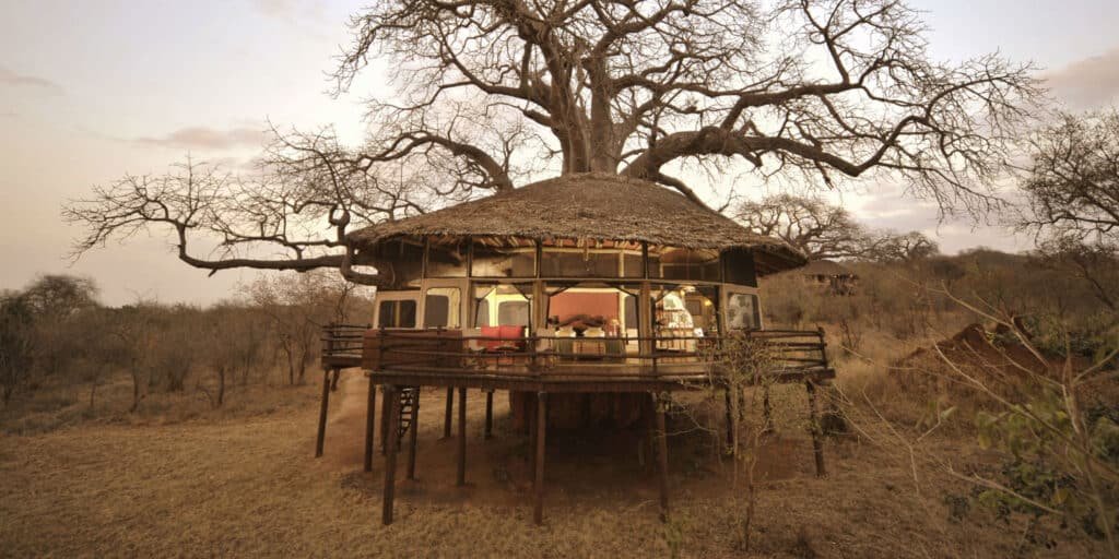elewana 1