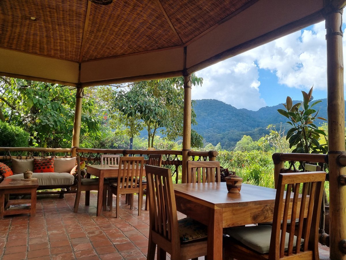 ichumbi gorilla lodge3