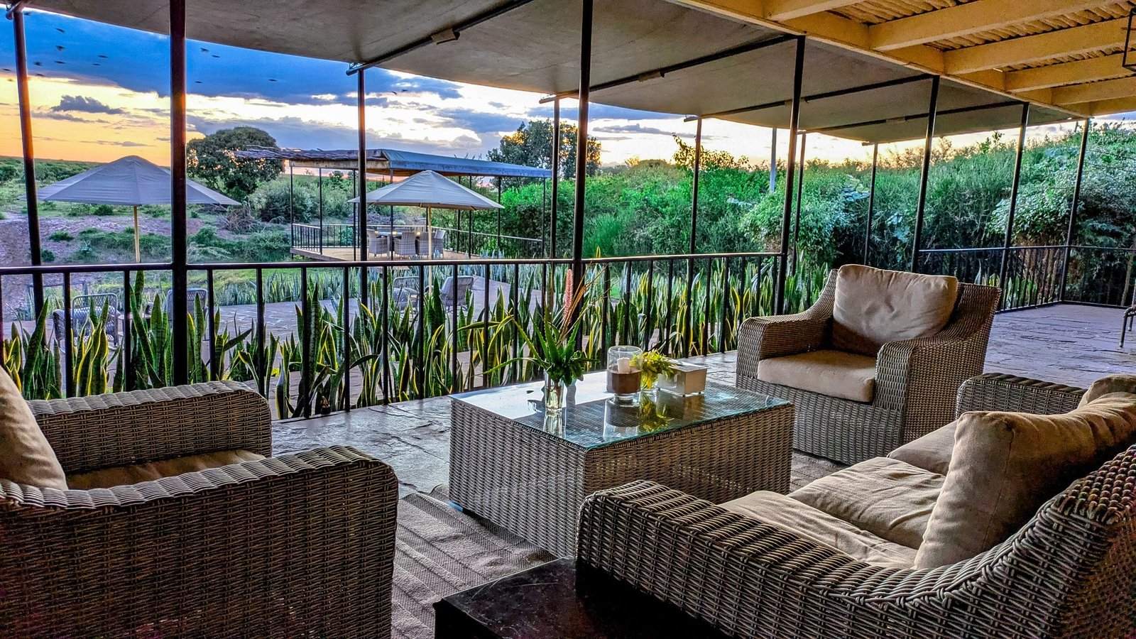 little zebra river camp2