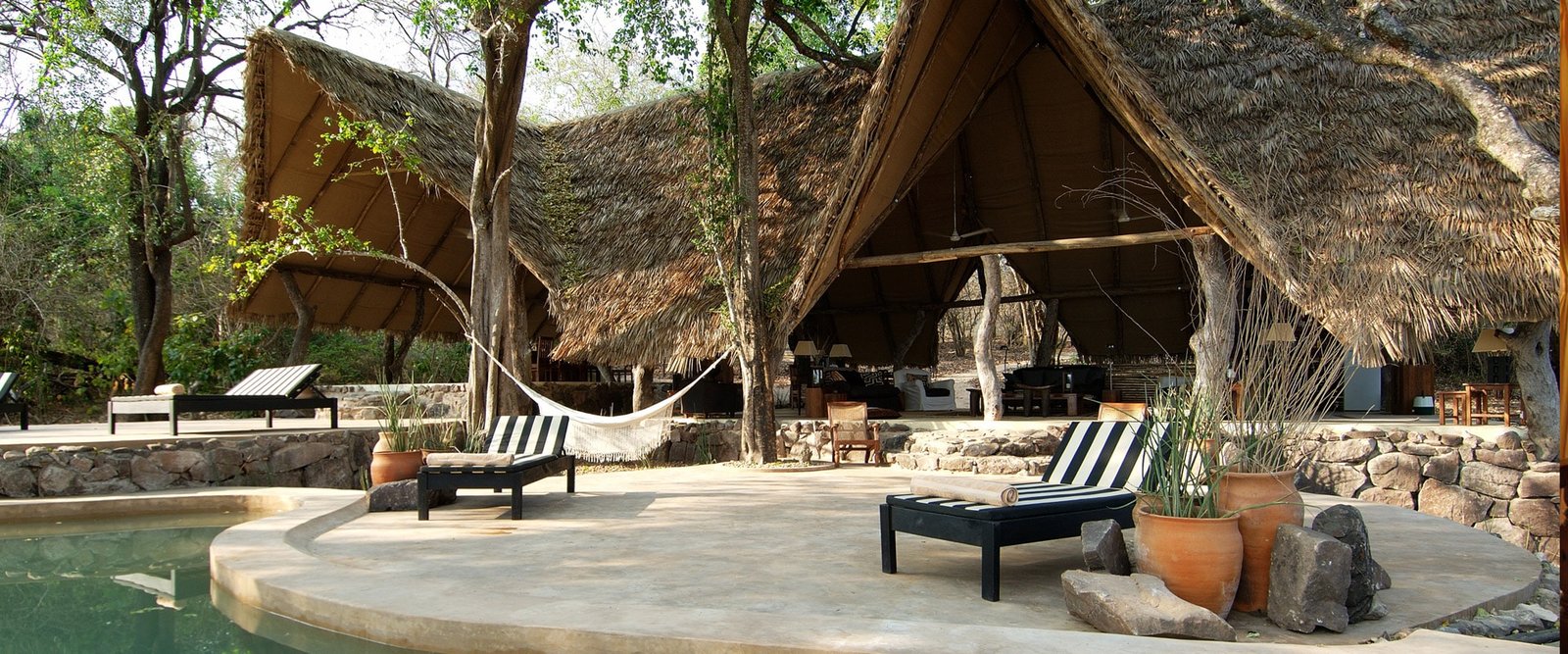 rufiji river camp4