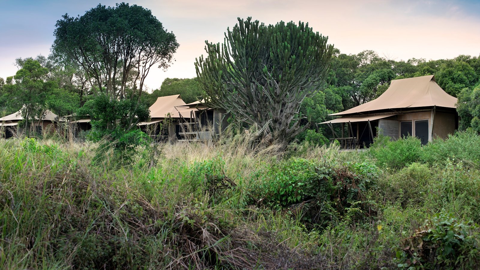 Kenya Kichwa Room Superior Tents exterior forest