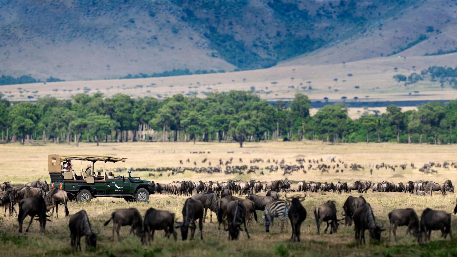Planning a Masai Mara Safari