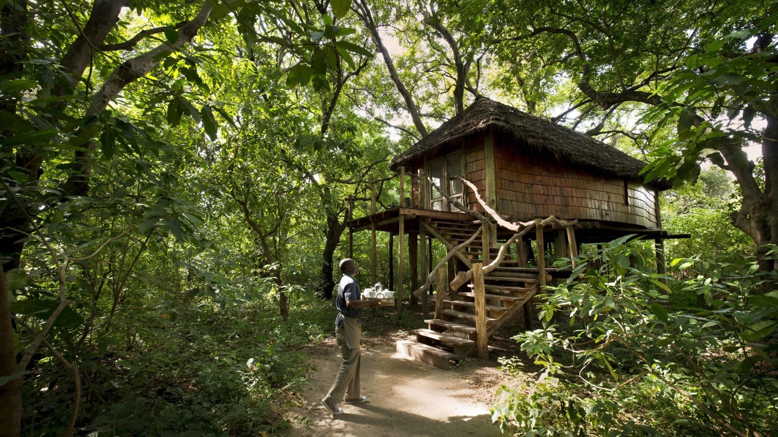 Lake Manyara Tree Lodge guest room treehouse