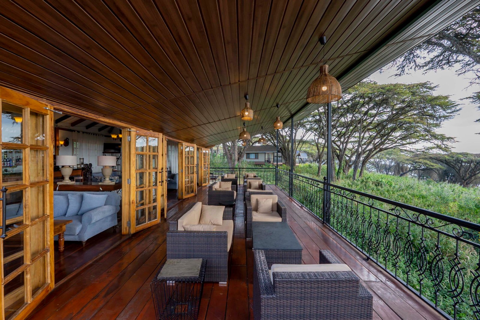 Ngorongoro Lion's Paw 2