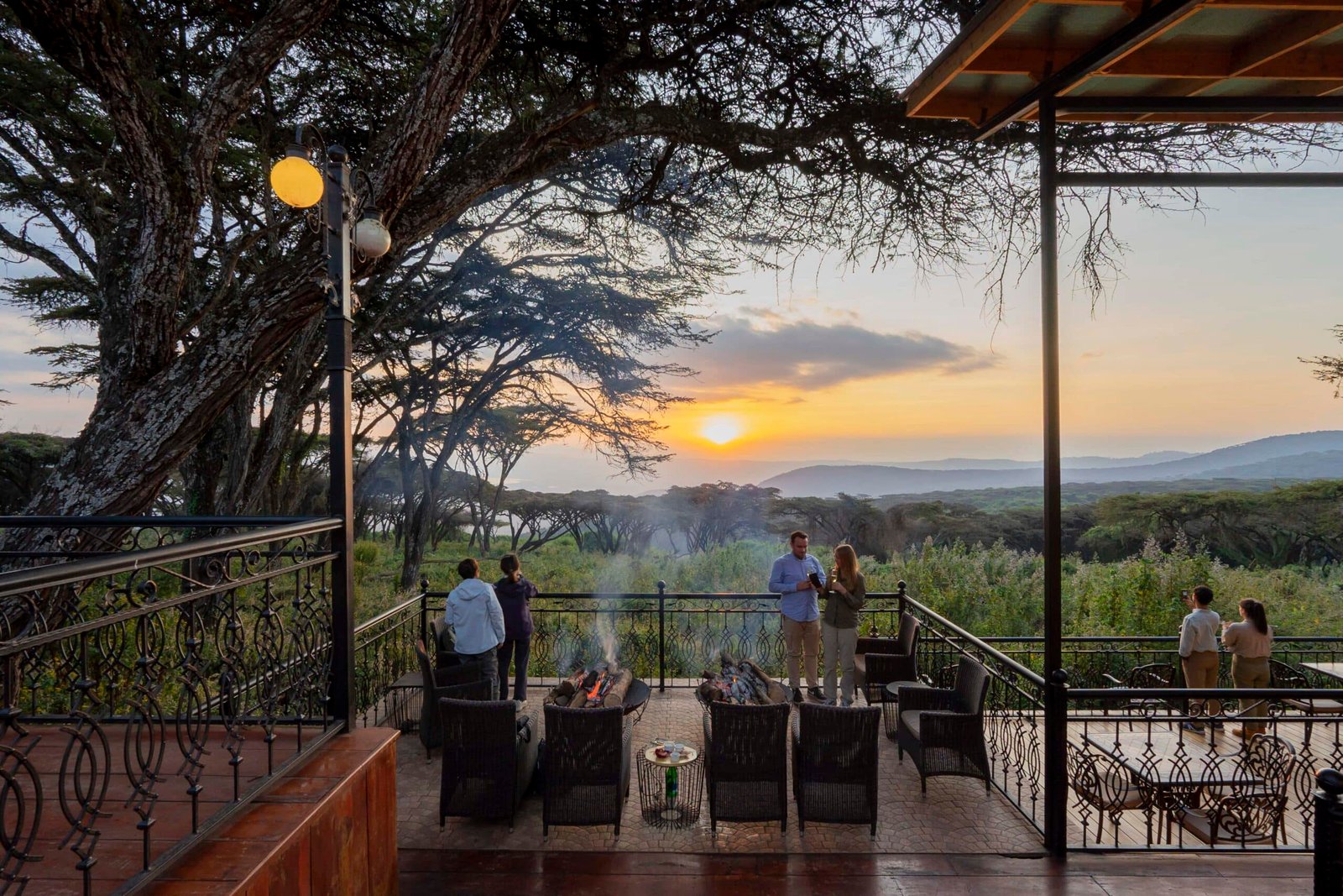 Ngorongoro Lion's Paw 5