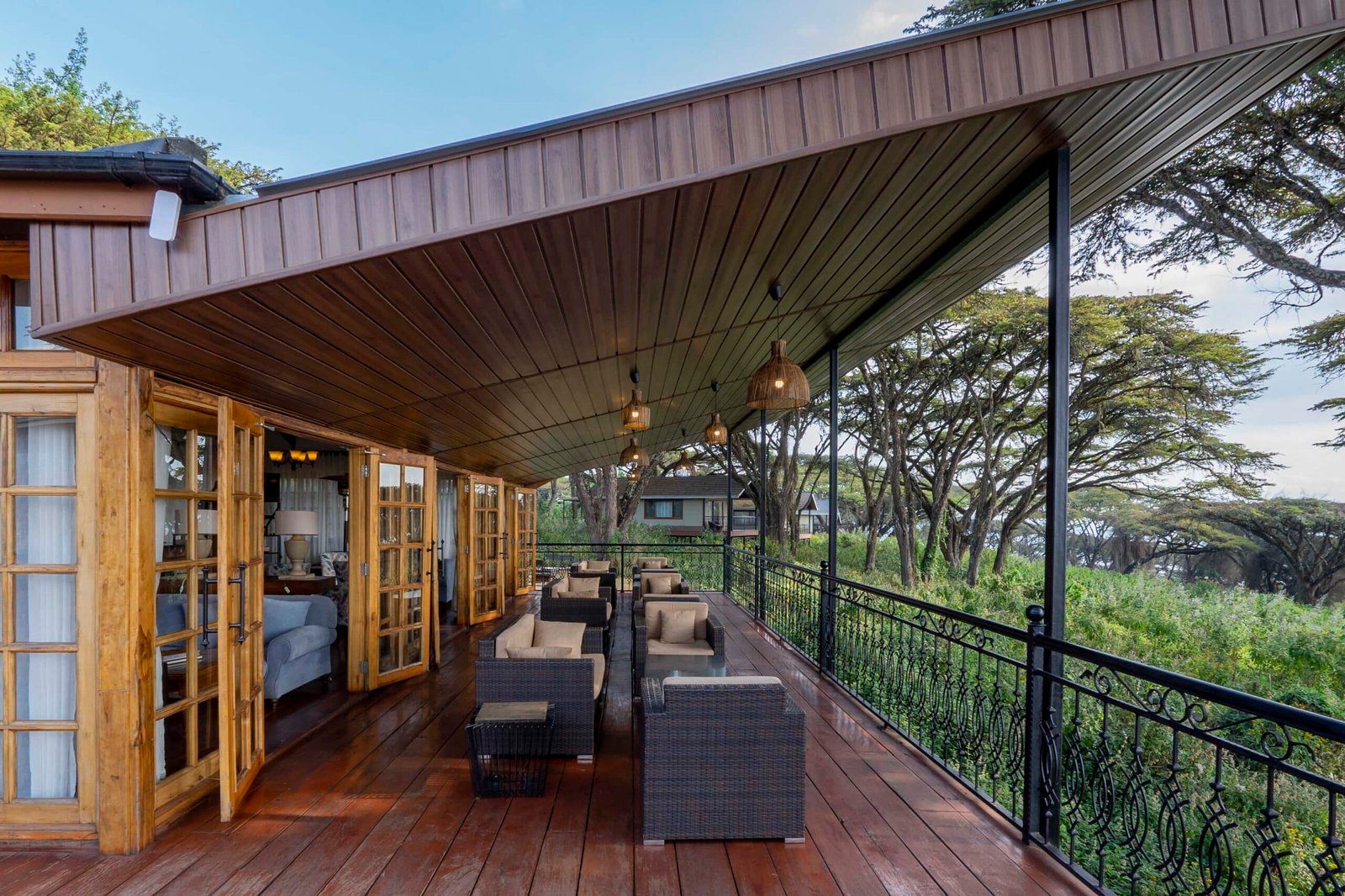 Ngorongoro Lion's Paw 6