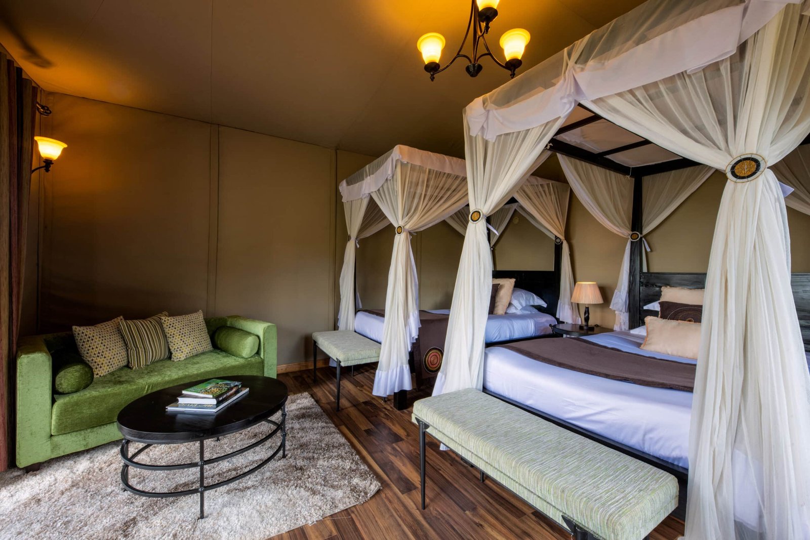 Ngorongoro Lion's Paw 8