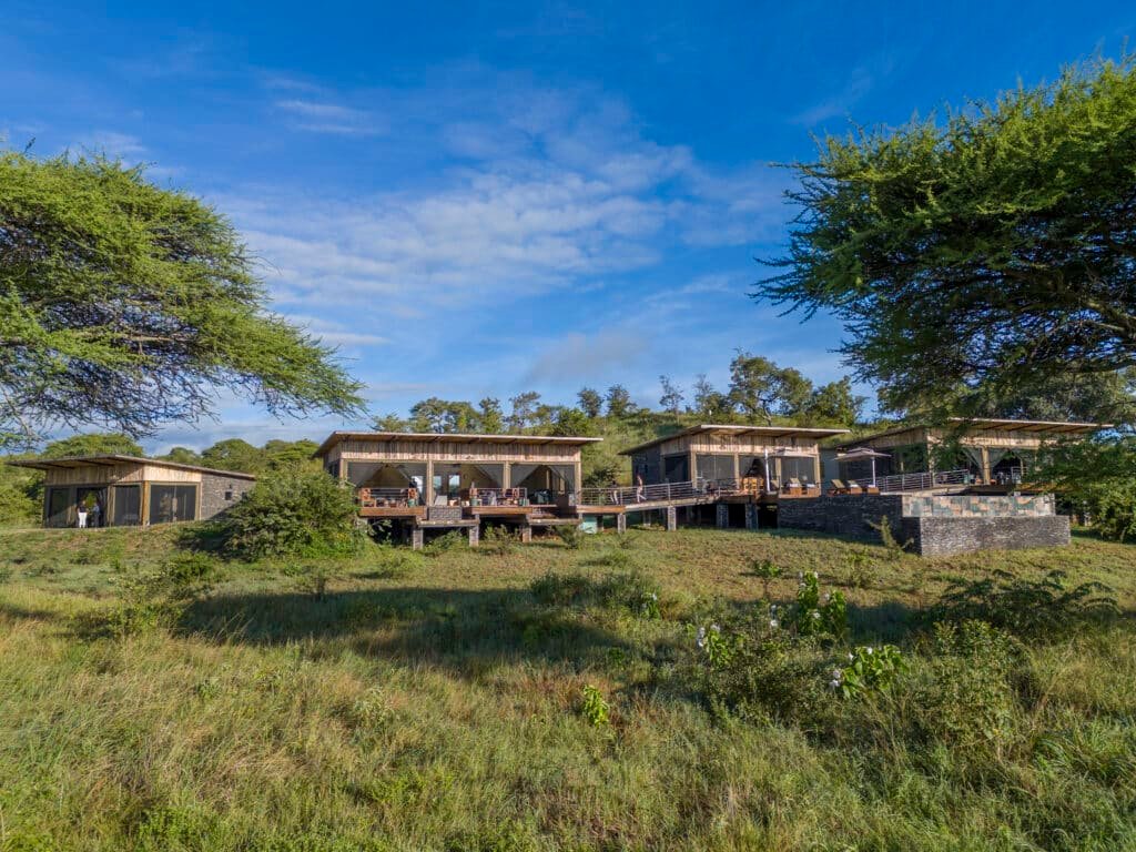 Tarangire Elephant Springs 15