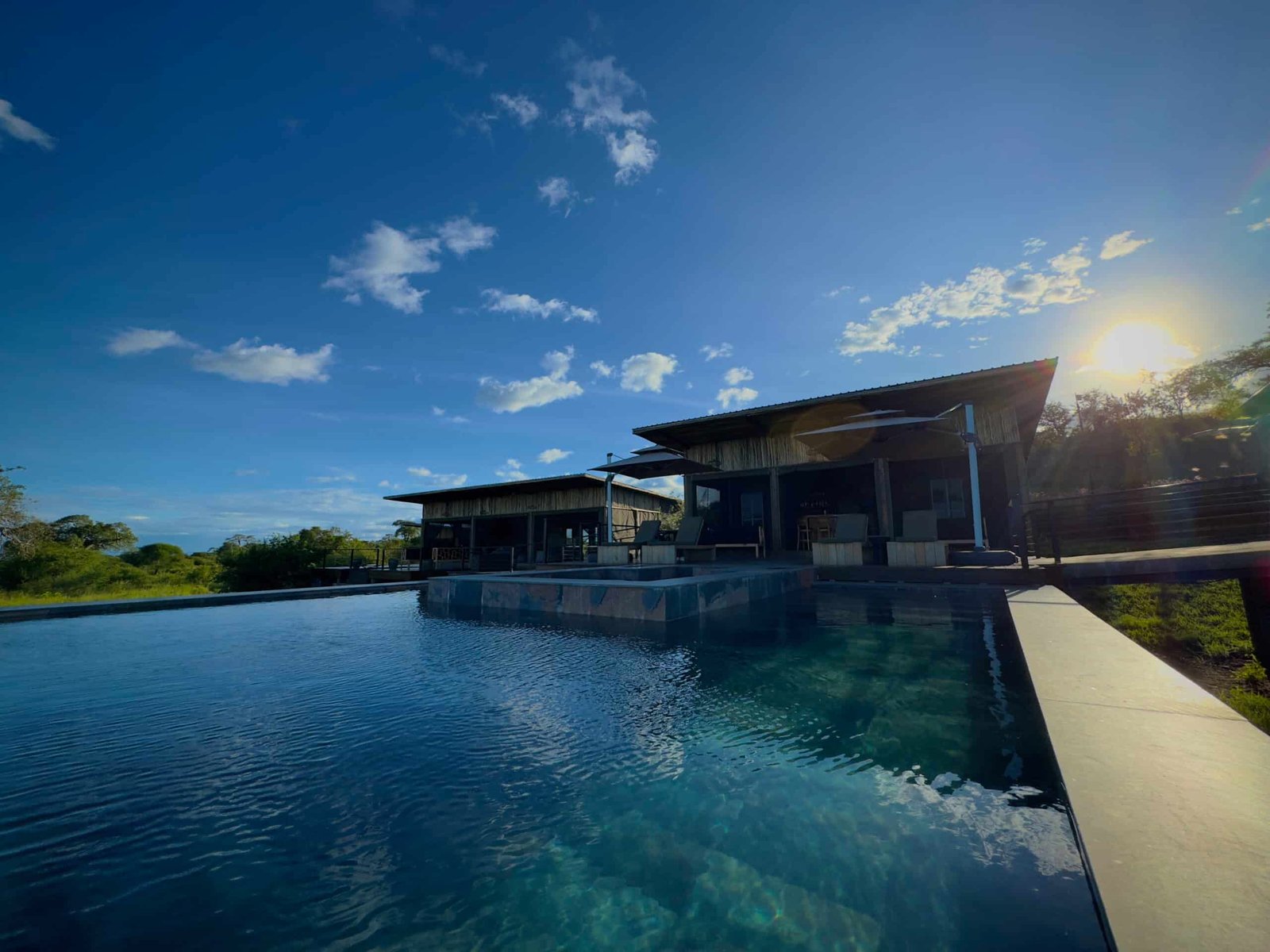 Tarangire Elephant Springs 3