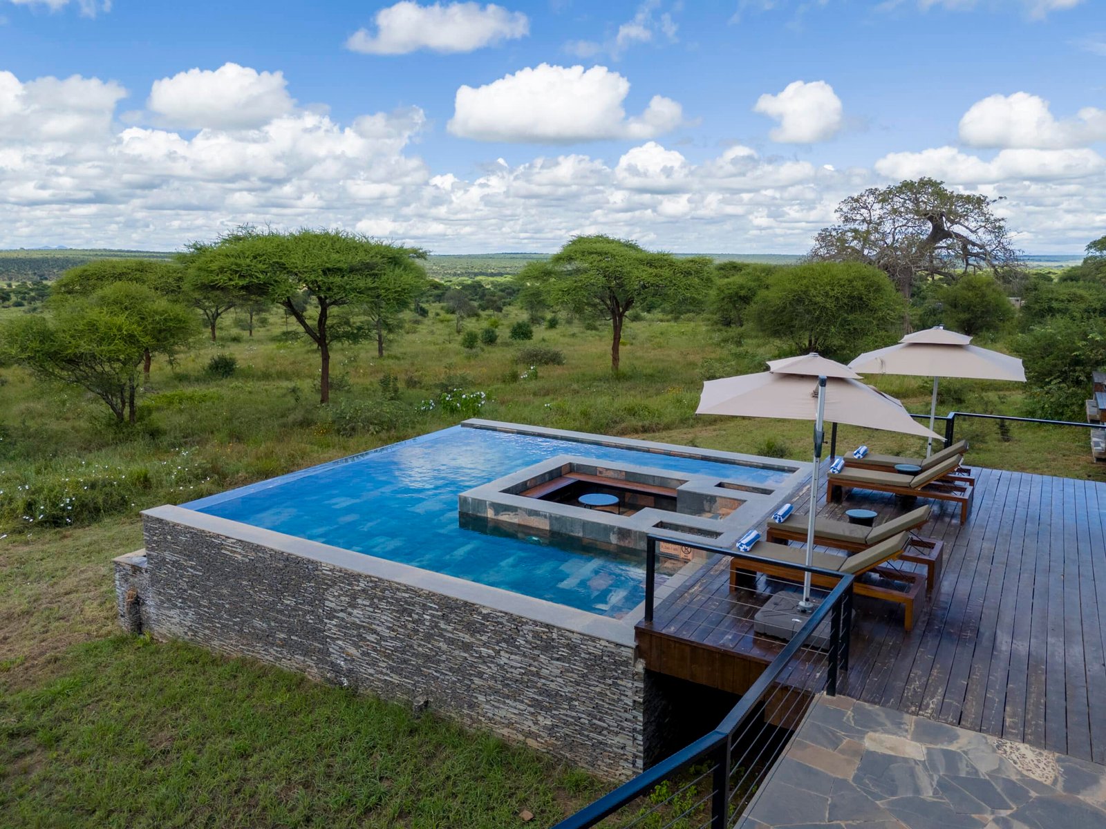 Tarangire Elephant Springs 4