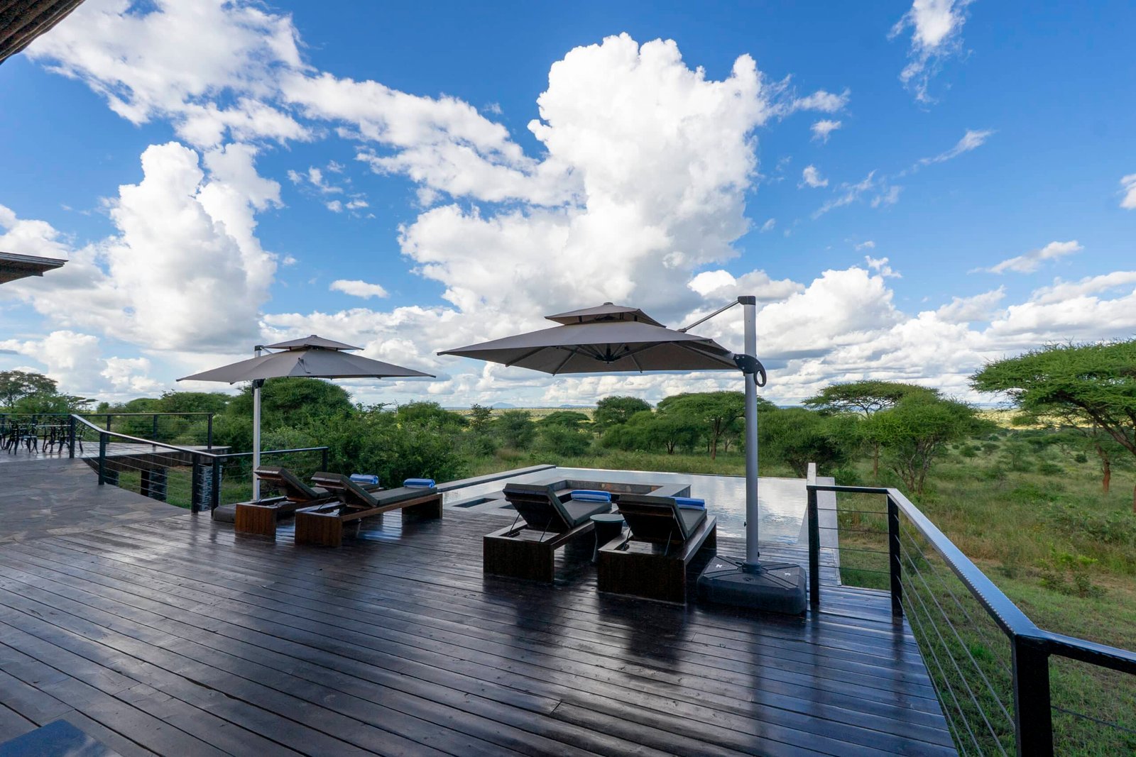 Tarangire Elephant Springs 5