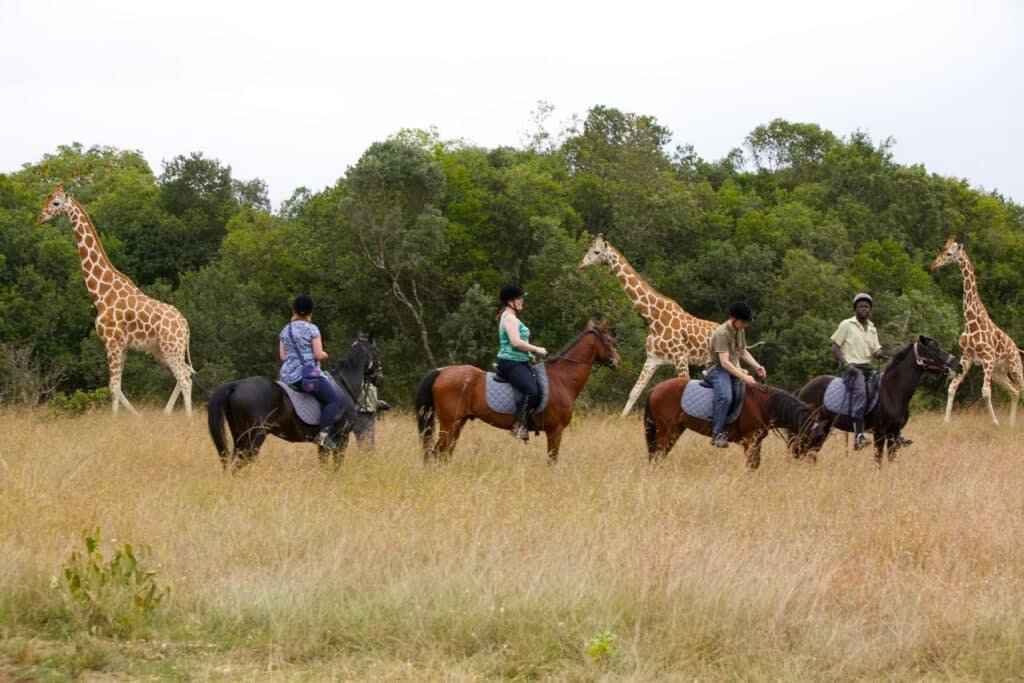 Arbedare National Park