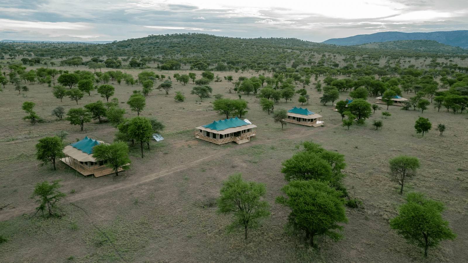 Signature Serengeti Luxury Camp 3