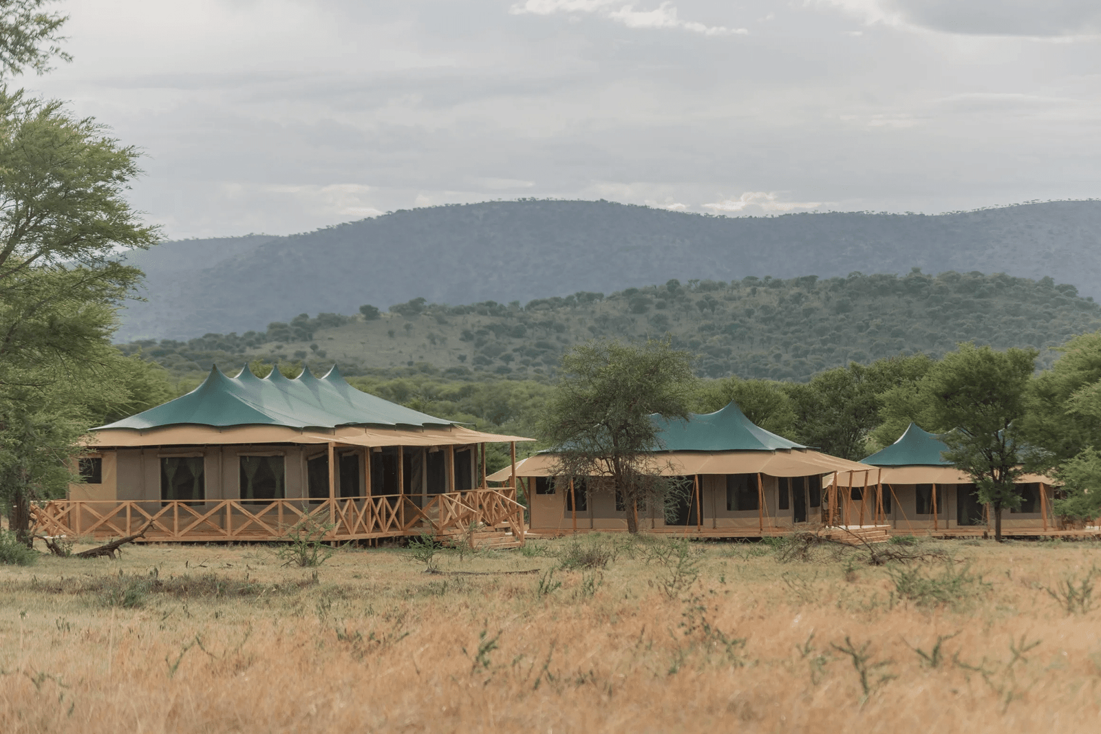 Signature Serengeti Luxury Camp 8