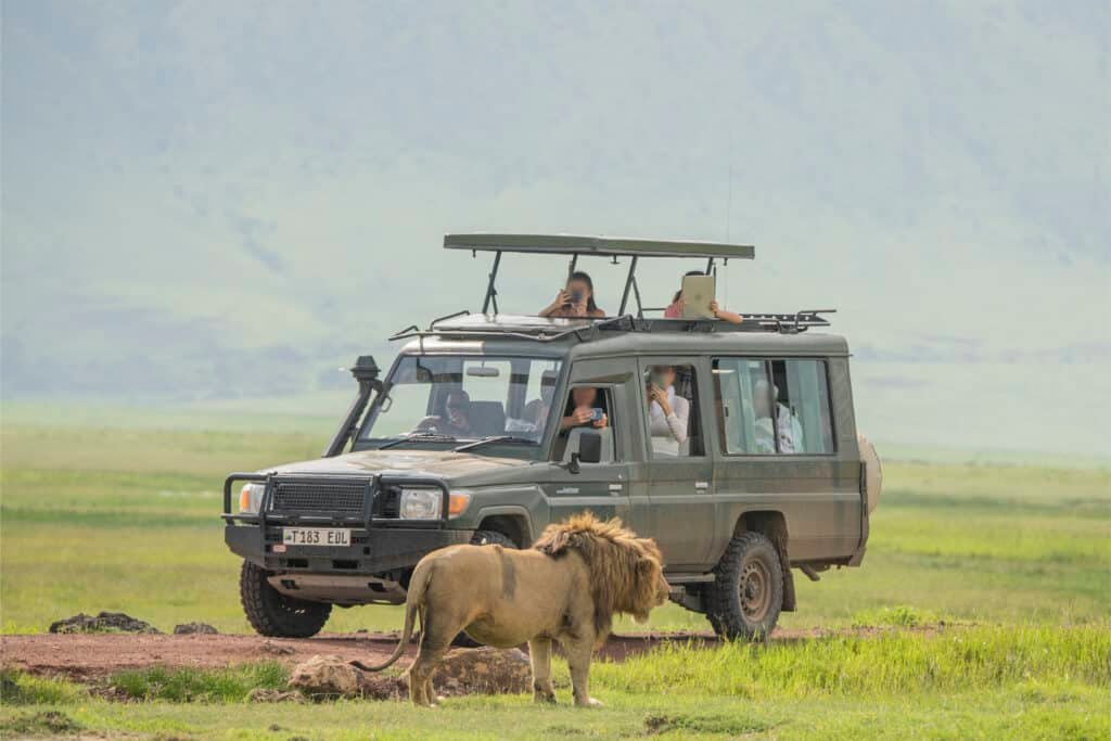 Best Time for an East African Safari- Ngorongoro Crater Game Drive