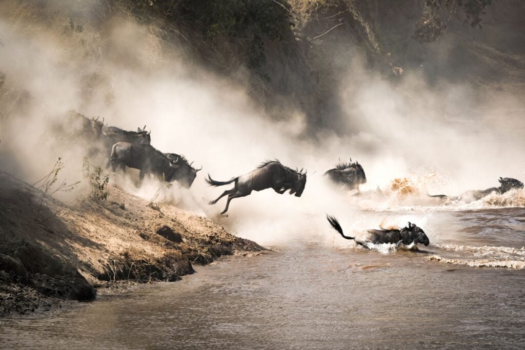 Mara River 1 1024x683