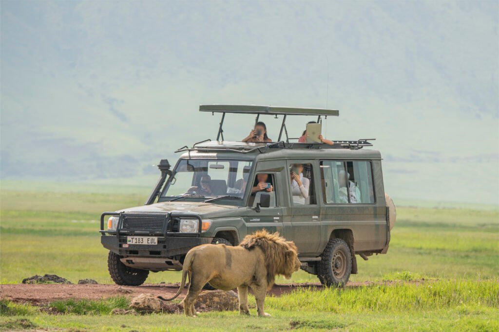 Tanzania Safari Tanzania Visa