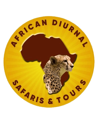 xh5i4mcivvjshodrfot5 removebg preview