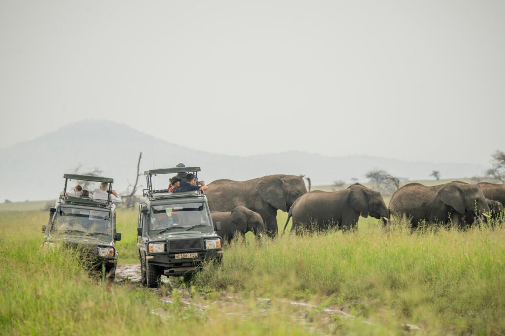 Game Drive in Niorthern Circuit