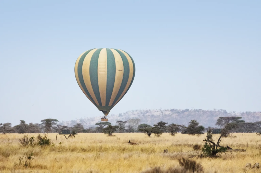 Hot Air Balloon Safaris