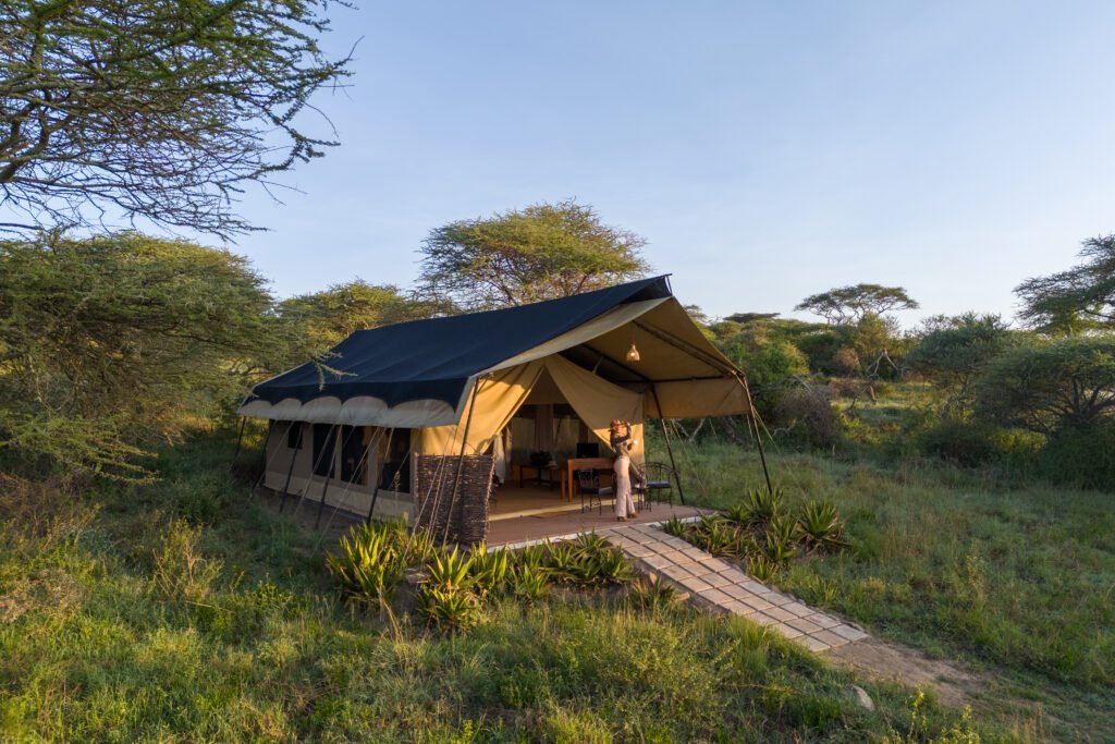 Off The Beaten Path Cafari Camp