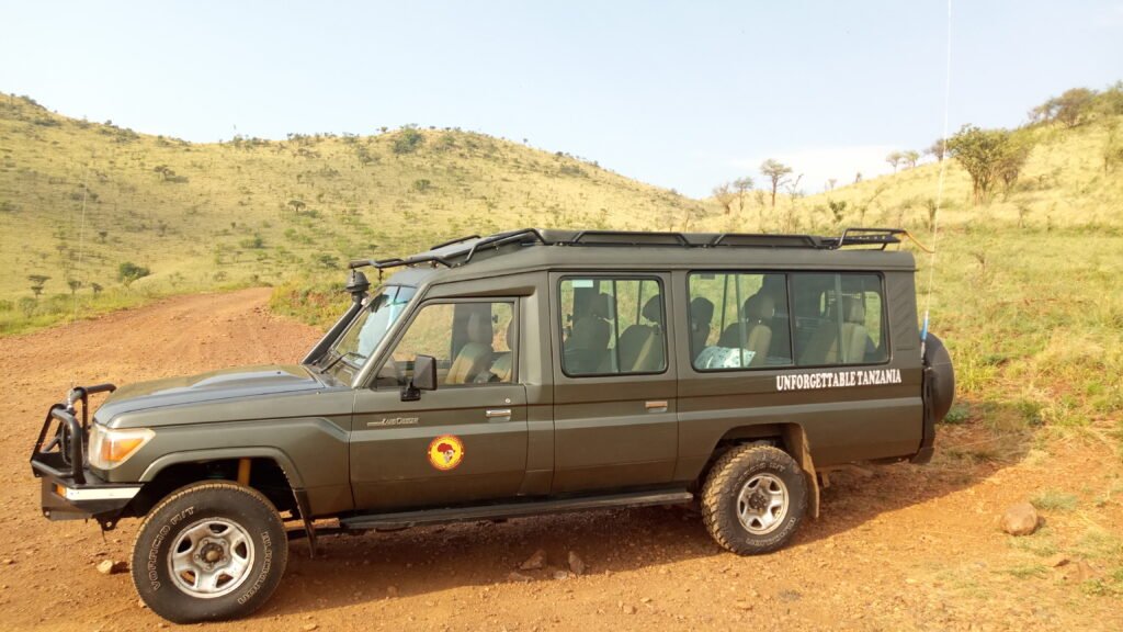 Safari Vehicle 3