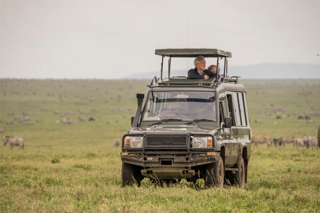 Safari Vehicle 6