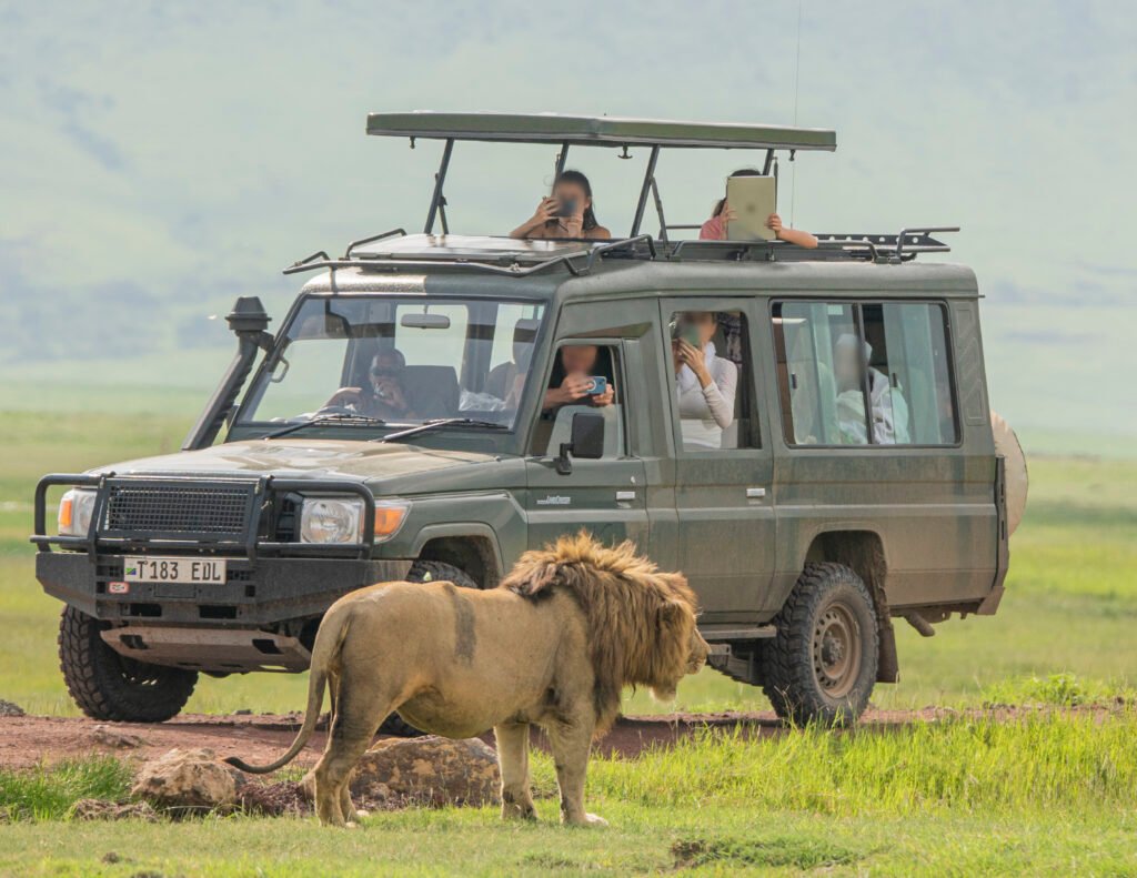 Safari Vehicle 7