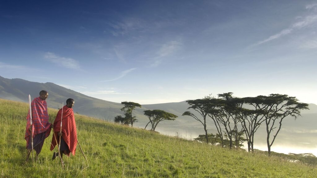 Tanzania Luxury Safari Tours