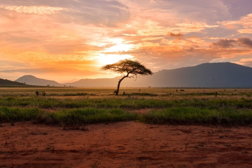 Tanzania Luxury Safari Tours