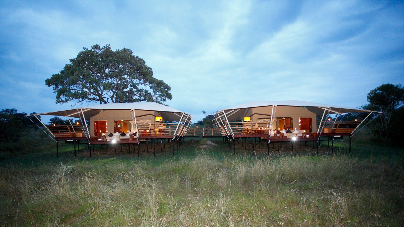 guest tent serengeti bushtops