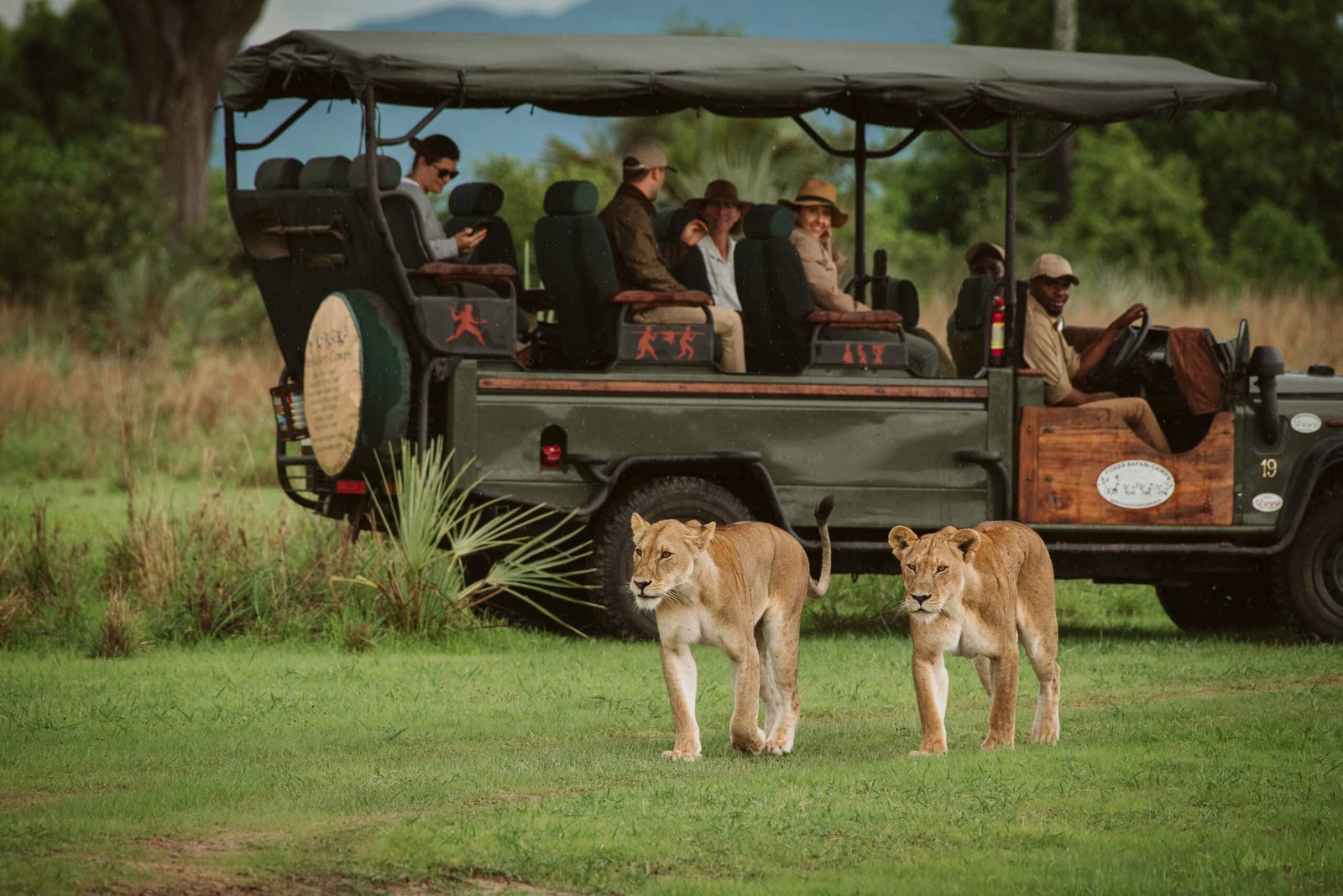 Katavi Wildlife Camp Game Drive Lions